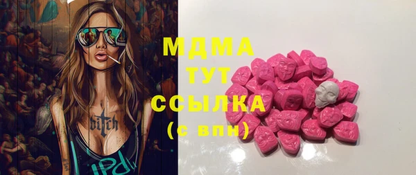 индика Няндома