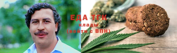 индика Няндома