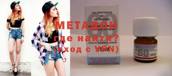 индика Няндома