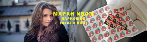 индика Няндома