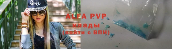 индика Няндома