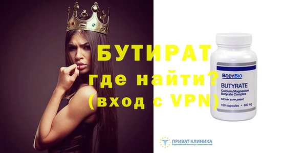 индика Няндома