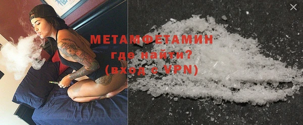 индика Няндома