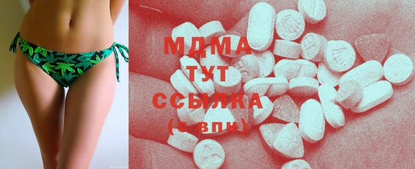 индика Няндома