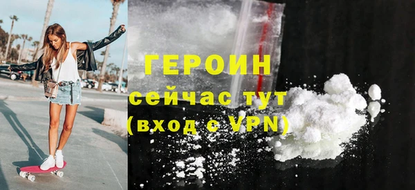 индика Няндома