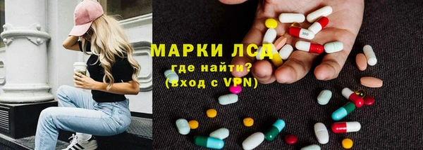 индика Няндома