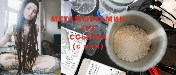 индика Няндома