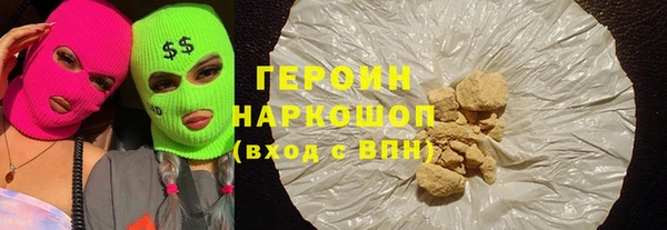 индика Няндома