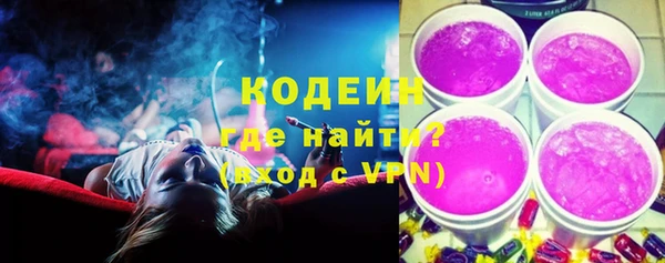 индика Няндома