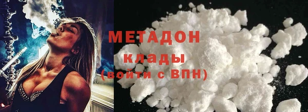 индика Няндома