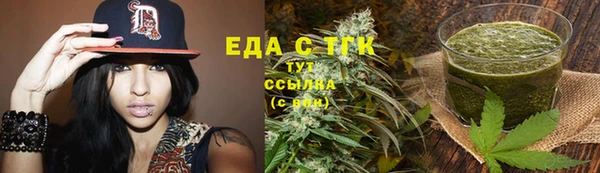 индика Няндома