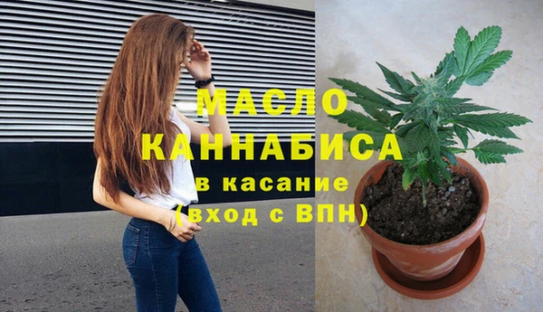 индика Няндома