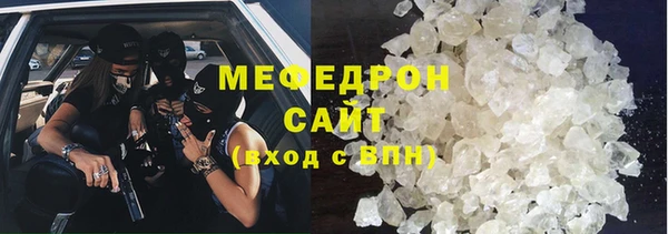 индика Няндома